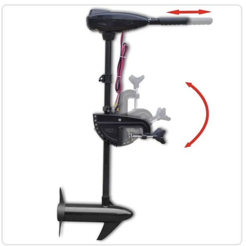 Bateau pneumatique plus moteur