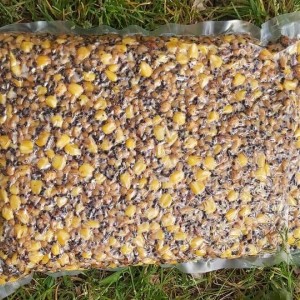 mix de graines spod