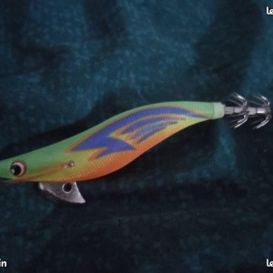 Turlutte pêche multicolore BIEN LIRE