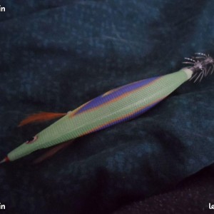 Turlutte pêche multicolore BIEN LIRE