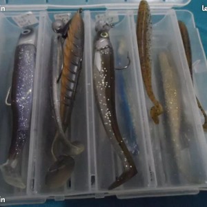 14 leurres souple de pèche bien LIRE
