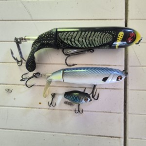 Whopper plopper