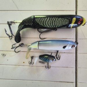 Whopper plopper
