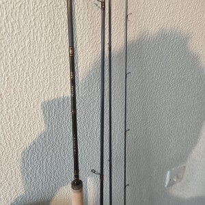 Canne Sage R8 core