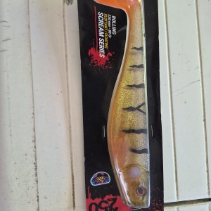 Dexter shad