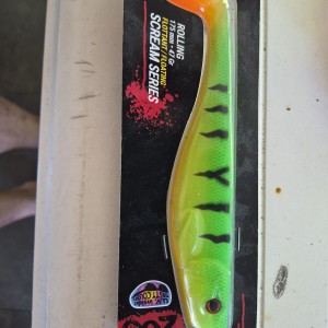 Dexter shad