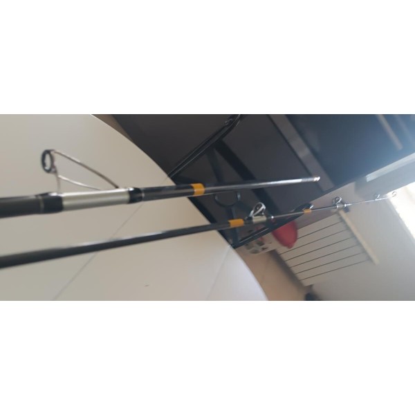 Canne a peche surf casting