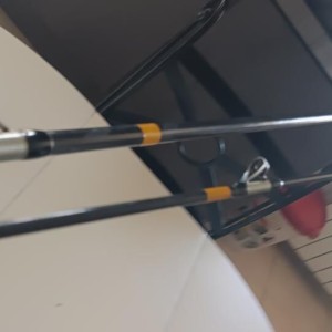Canne a peche surf casting