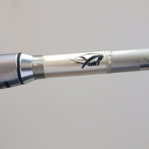 Canne a peche surf casting