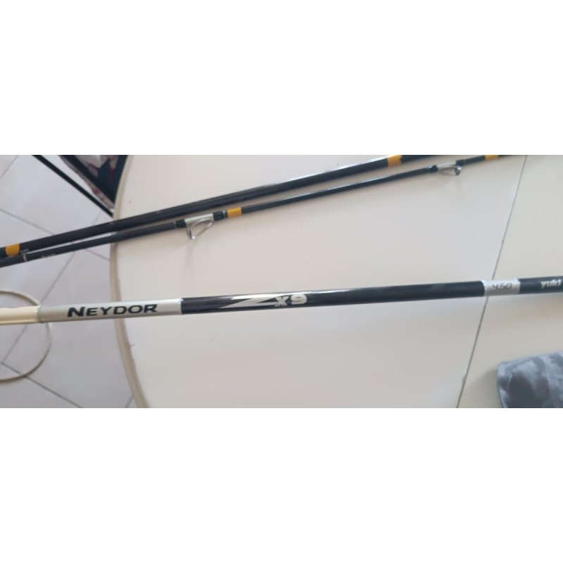 Canne a peche surf casting