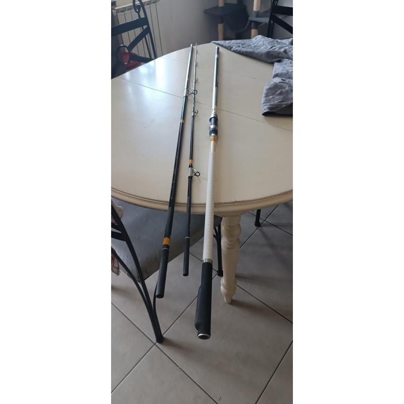 Canne a peche surf casting