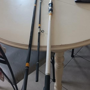 Canne a peche surf casting