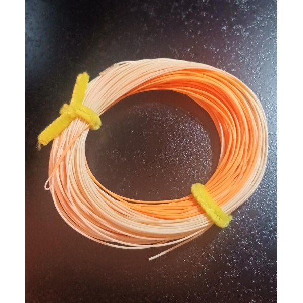 Soie à mouche WF5F Bicolore Finesse trout