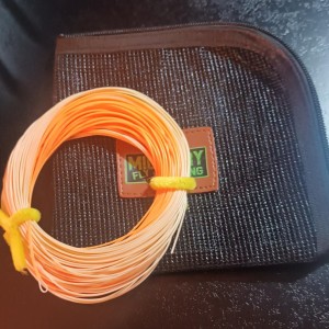 Soie à mouche WF5F Bicolore Finesse trout