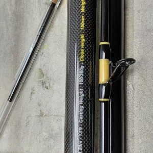 canne surf casting 4.50 " brins 100/250GR