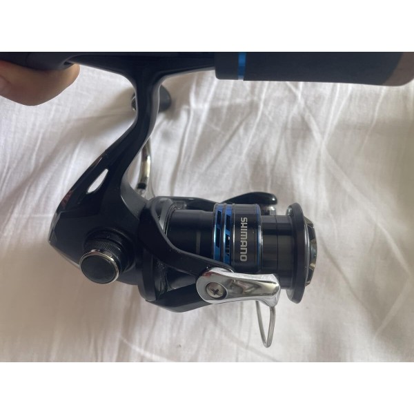 Ensemble spinning