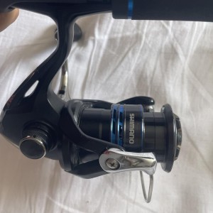 Ensemble spinning