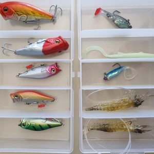 Sac Caperlan + Lot de 8 boites de leurres (souples, minnow, cuiller, etc.)