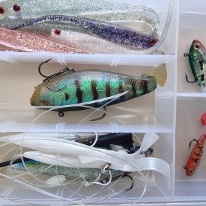 Sac Caperlan + Lot de 8 boites de leurres (souples, minnow, cuiller, etc.)
