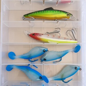 Sac Caperlan + Lot de 8 boites de leurres (souples, minnow, cuiller, etc.)