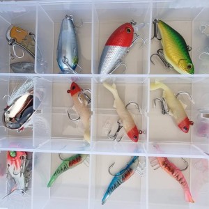 Sac Caperlan + Lot de 8 boites de leurres (souples, minnow, cuiller, etc.)