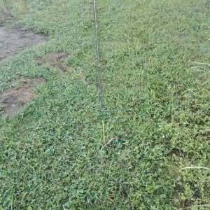 Canne Silstar super MX 3331- 5,80m télescopique parfait état