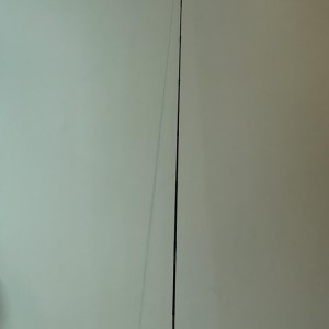 Lew's CustomLite Speedstick Topwater Jerkbait