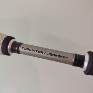 Lew's CustomLite Speedstick Topwater Jerkbait