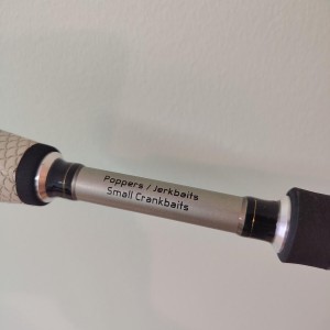 Lew's CustomLite Speedstick Topwater Jerkbait