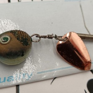 Cuiller Exxtrem lures / Inter Fish 6 gr