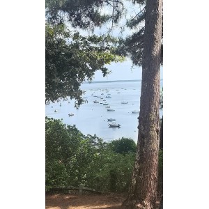 Alban du bassin d'Arcachon