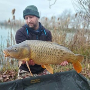 Stef64 carpe