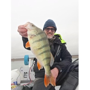 Yann’s Fishing Shop