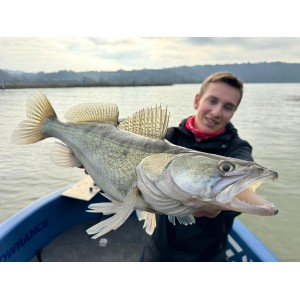 Fish_hunting._
