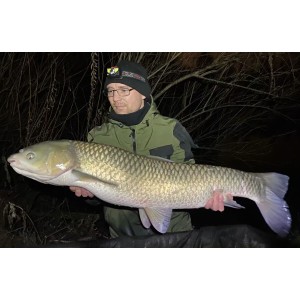 Carpcarna59