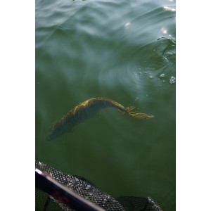 La boutique du pêcheur 72