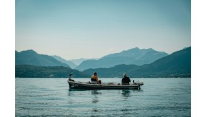 Articles & Conseils