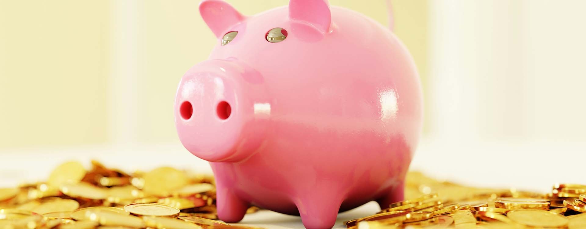 Où pêcher gratuitement ? Bons plans pour pêcheurs malins