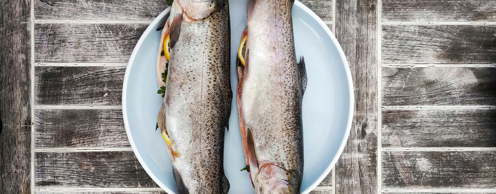 Peut-on garder tous les poissons attrapés ?