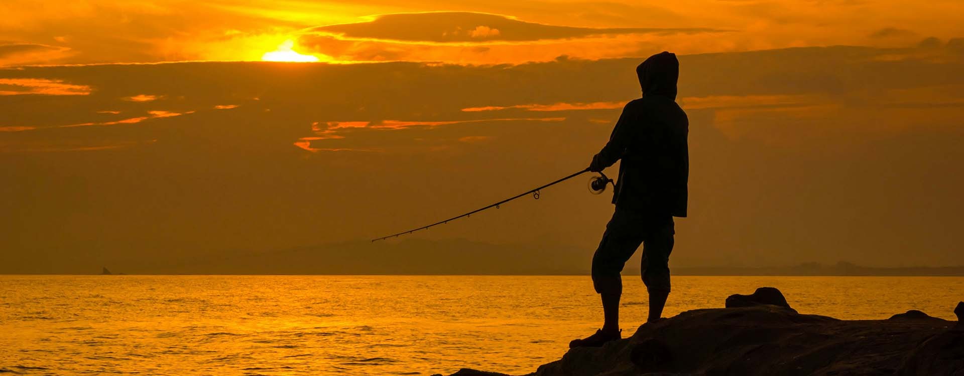 Quel est le meilleur moment pour pêcher ? Saisons, horaires et conditions