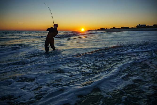 La pêche au bar : comment réussir vos premières prises ?