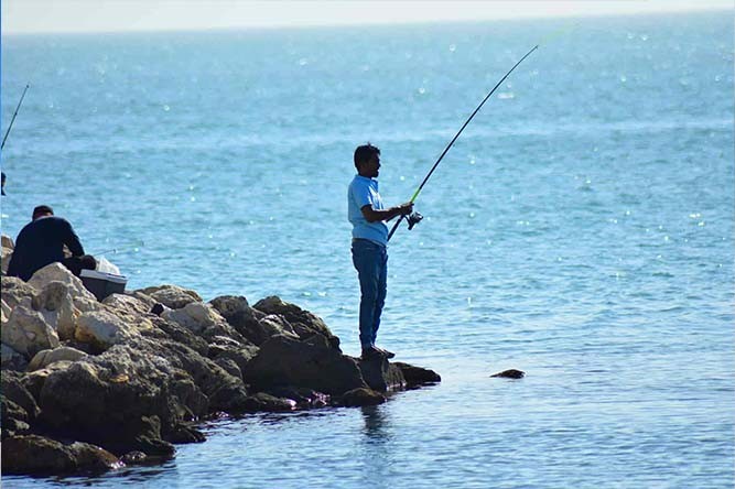 La pêche du bar au leurre : techniques, leurres et conseils pour réussir