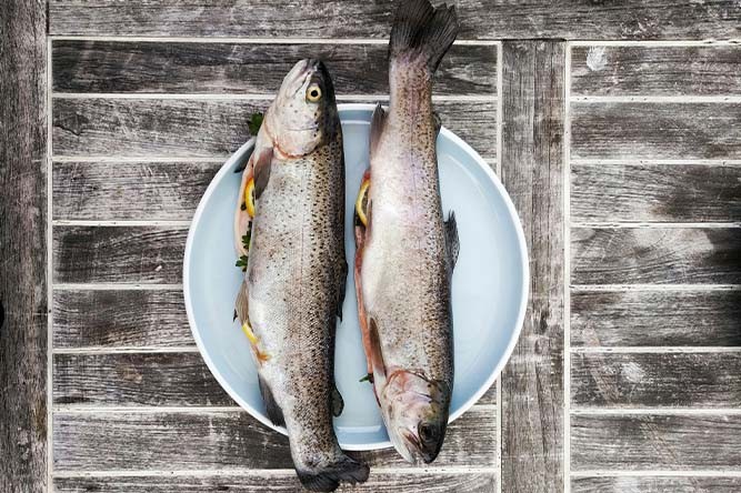 Peut-on garder tous les poissons attrapés ?