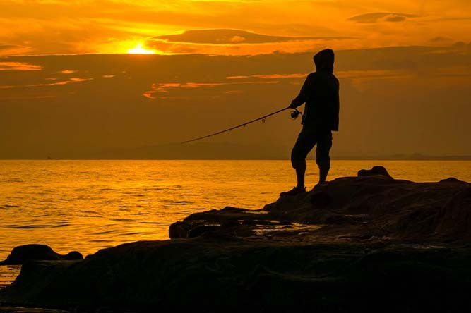 Quel est le meilleur moment pour pêcher ? Saisons, horaires et conditions