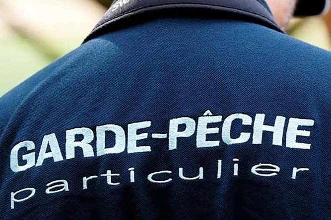 Quelle amende pour pêcher sans carte ? Et pourquoi il est indispensable d’en avoir une